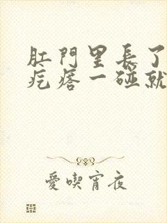 肛门里长了一个疙瘩一碰就疼