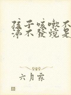 孩子咳嗽不流鼻涕不发烧是怎么回事