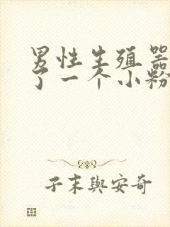 男性生殖器上长了一个小粉刺