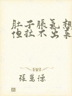 肚子胀气想大便但拉不出来