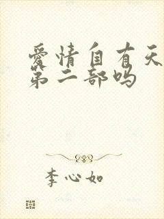 爱情自有天意有第二部吗