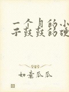 一个月的小猫肚子鼓鼓的硬硬的封面