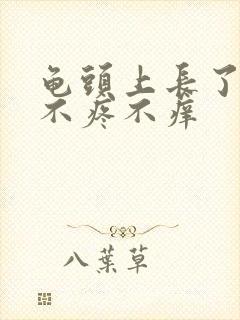 龟头上长了红点不疼不痒封面