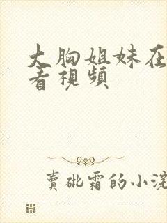 大胸姐妹在线观看视频