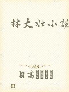 林大壮小说阅读