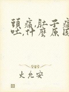 头痛,肚子痛,吐,什么原因