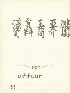 演员王亚鹏个人资料简介图片封面