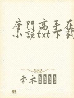 唐门高手在异世小说txt下载