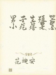 男子生殖器上有小疙瘩是怎么回事