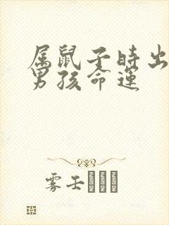 属鼠子时出生的男孩命运