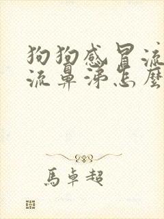 狗狗感冒流眼泪流鼻涕怎么办封面