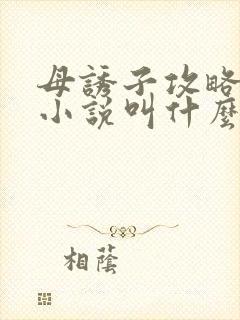 母诱子攻略原著小说叫什么名字