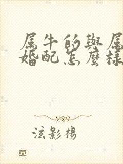 属牛的与属马的婚配怎么样