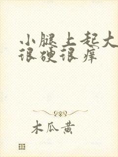 小腿上起大疙瘩很硬很痒