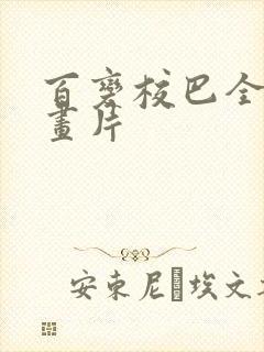 百变校巴全集动画片