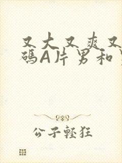 又大又爽又黄无码A片男和男