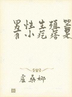 男性生殖器里面有小疙瘩是怎么回事儿