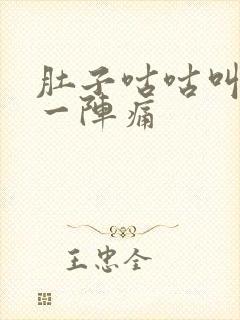 肚子咕咕叫一阵一阵痛封面