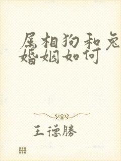 属相狗和兔相配婚姻如何