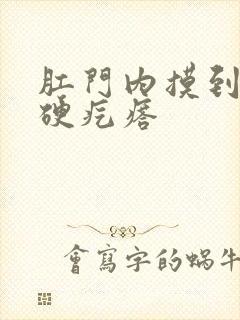 肛门内摸到一个硬疙瘩