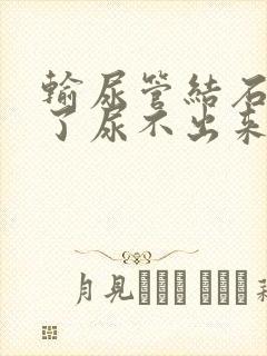 输尿管结石堵住了尿不出来怎么办封面