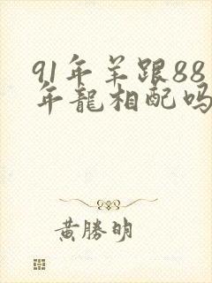 91年羊跟88年龙相配吗