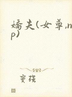 娇夫(女尊,np)