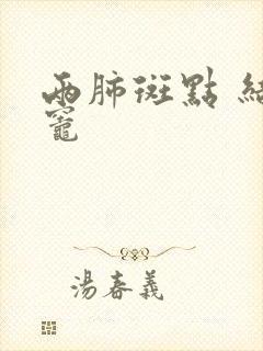 两肺斑点 结节灶