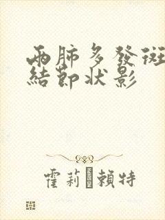 两肺多发斑片状结节状影