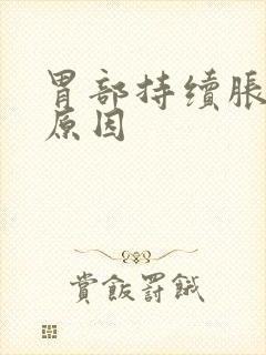 胃部持续胀痛的原因