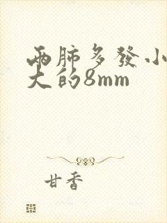 两肺多发小结节大的8mm