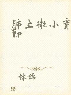 肺上微小实性结节封面