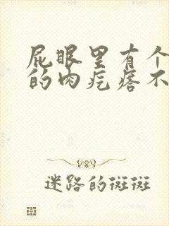 屁眼里有个软软的肉疙瘩不痛不痒