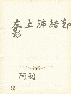 左上肺结节斑片影封面