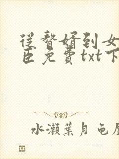 从赘婿到女帝宠臣免费txt下载