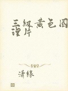 三级黄色国产伦理片封面