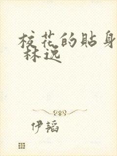 校花的贴身高手 林逸