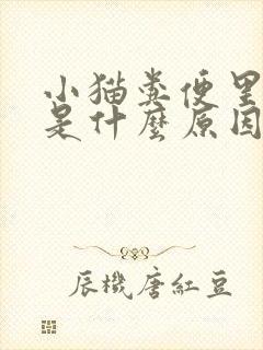 小猫粪便里带血是什么原因