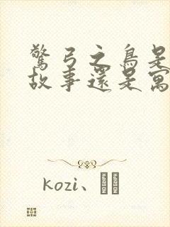 惊弓之鸟是历史故事还是寓言故事封面