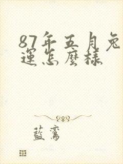 87年五月兔命运怎么样