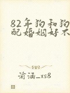 82年狗和狗相配婚姻好不好