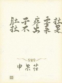 肚子疼要拉屎又拉不出来是怎么回事封面