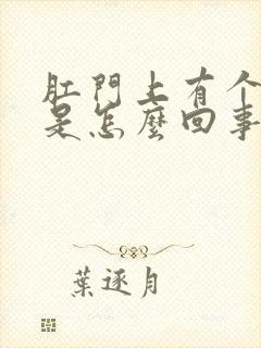 肛门上有个疙瘩是怎么回事儿