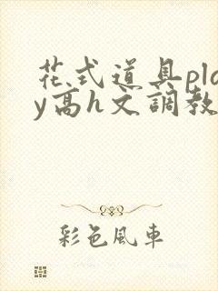 花式道具play高h文调教封面