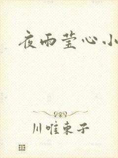 夜雨莹心小说