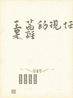 王茜的现任丈夫是谁