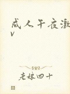 成人午夜激情av