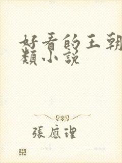 好看的王朝争霸类小说封面