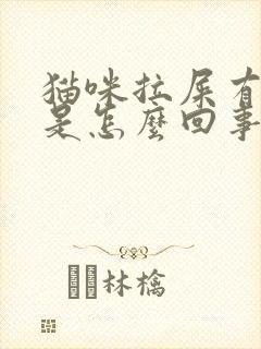 猫咪拉屎有点血是怎么回事封面