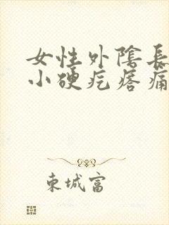 女性外阴长了个小硬疙瘩痛封面